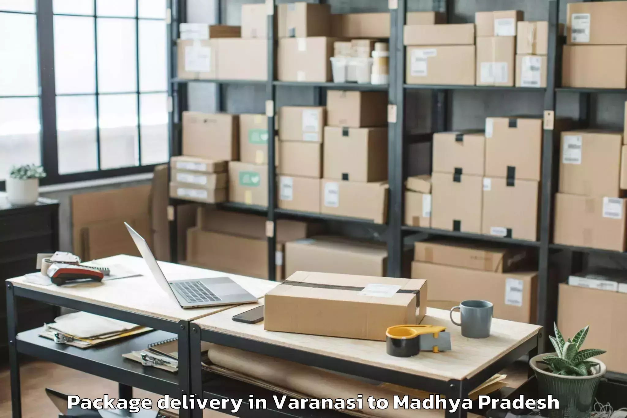 Easy Varanasi to Vit Bhopal University Bhopal Package Delivery Booking